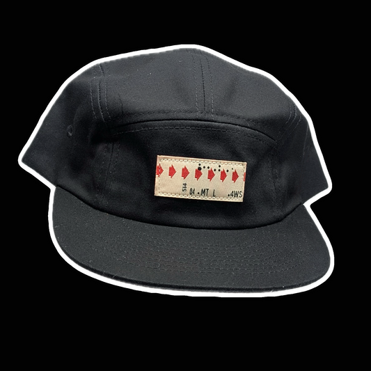 STM 5 PANNEL SNAPBACK